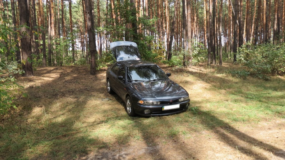 Були на природі))) 1