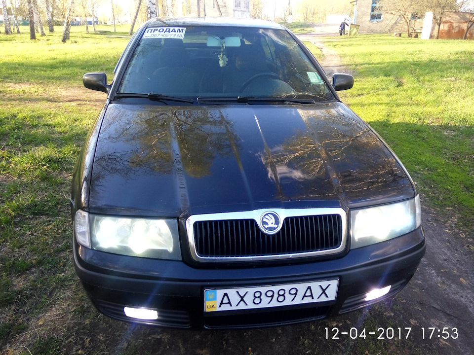 Продаж ластівки 5