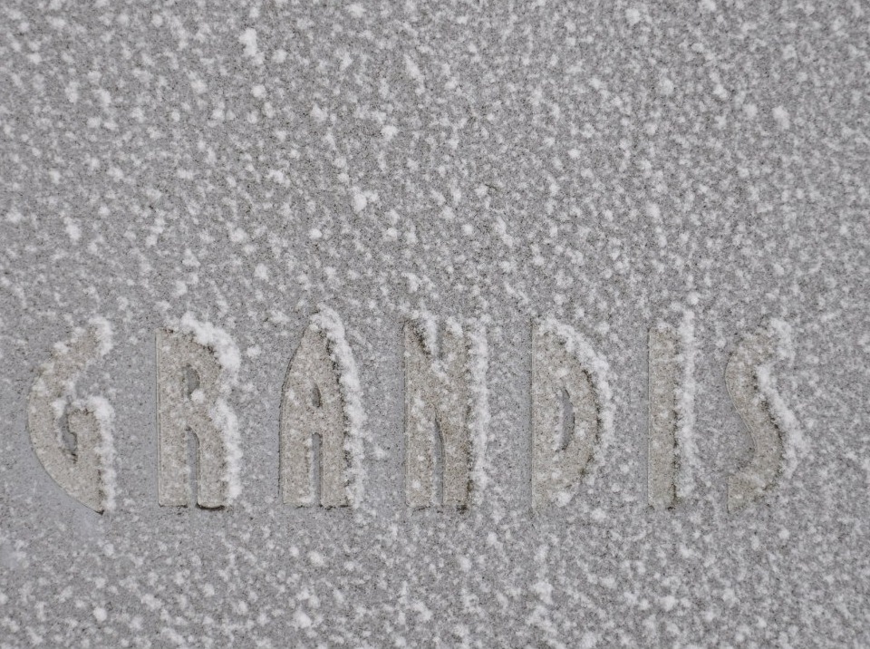 Фото написи GRANDIS 2
