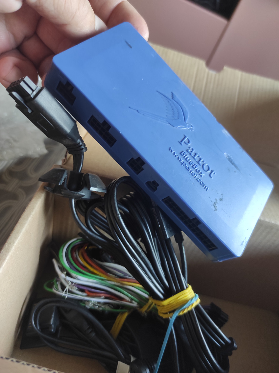 Виявилося Parrot Blue Box ... 2