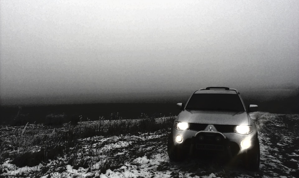 Wild Winter 1