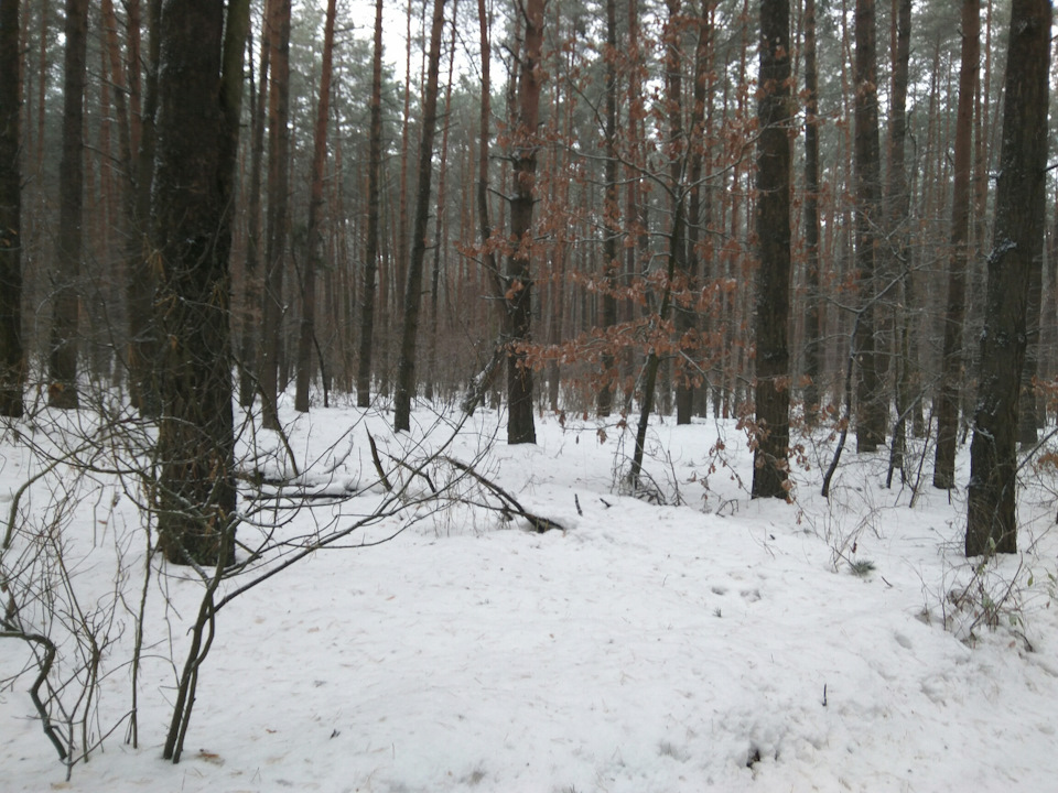 Полювали 3