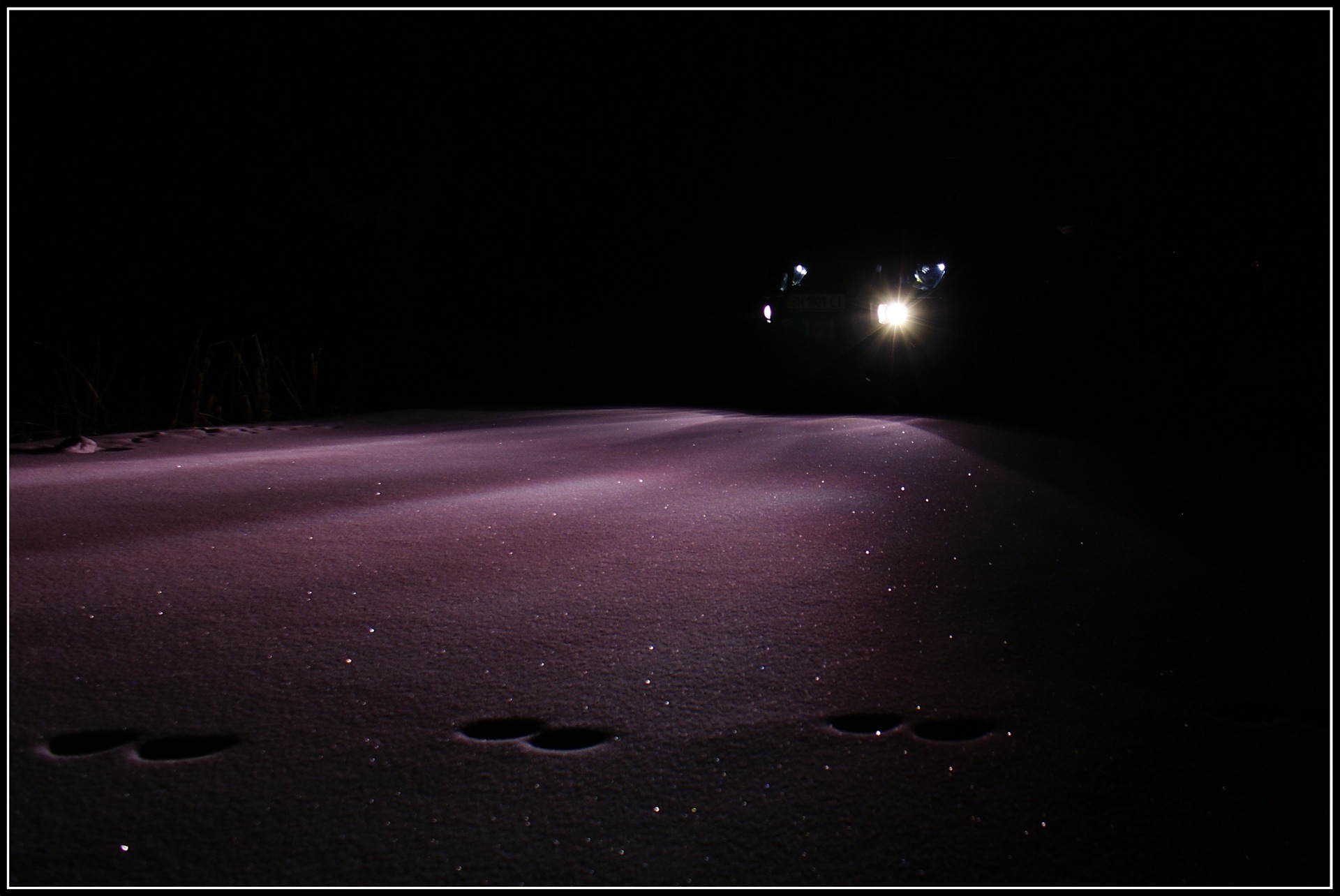 Зима 2010 (статика) 1