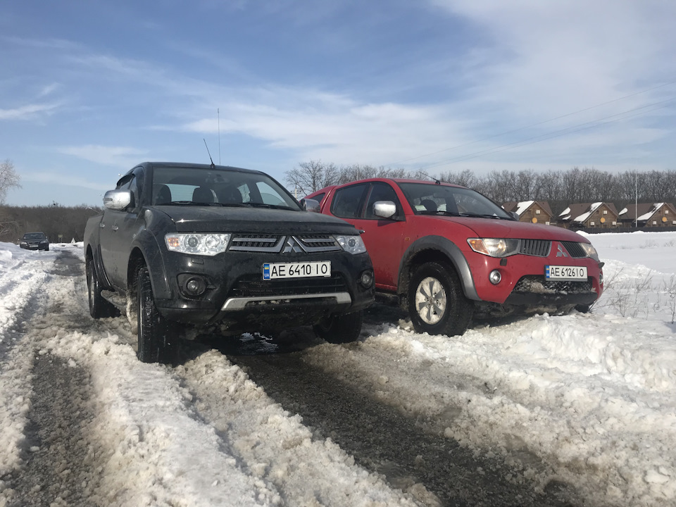 Трішки самарського лісу 4