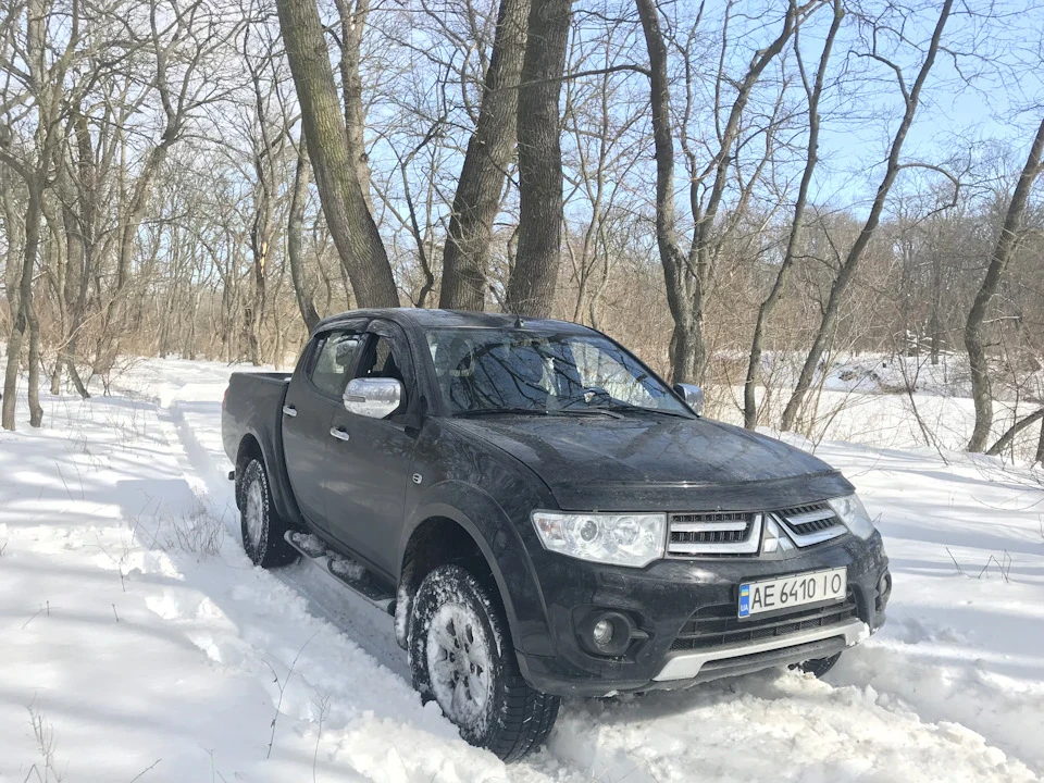 Трішки самарського лісу