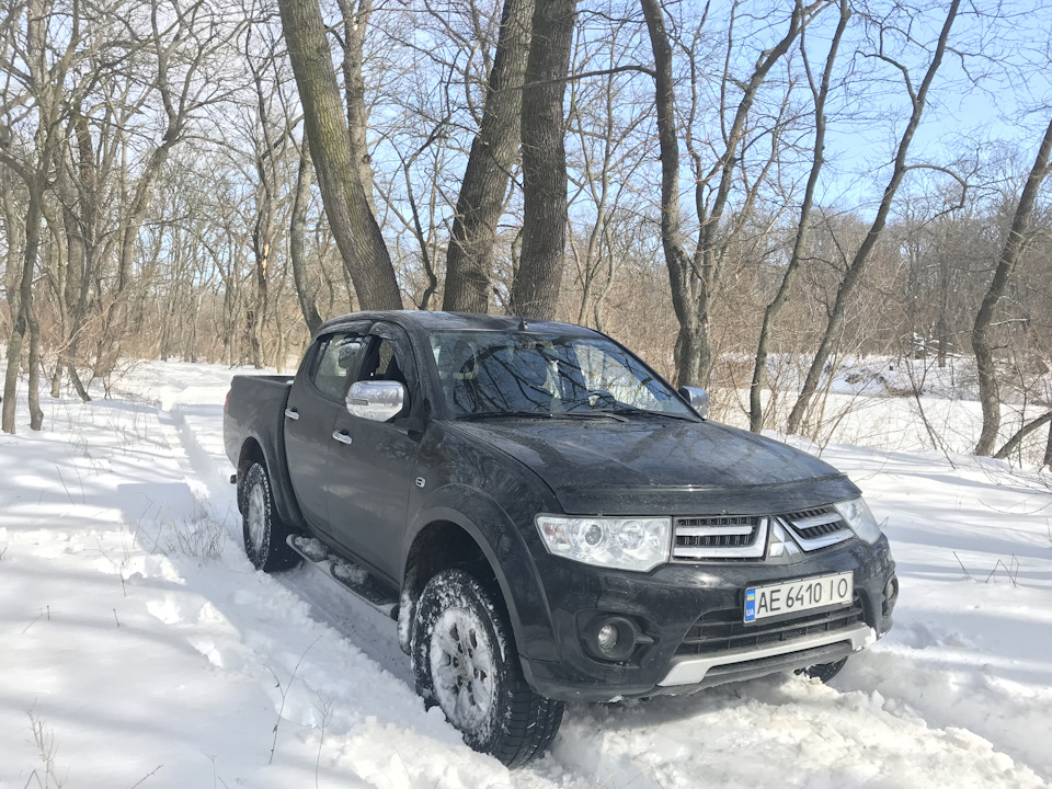 Трішки самарського лісу 1