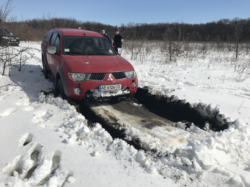 Трішки самарського лісу 2