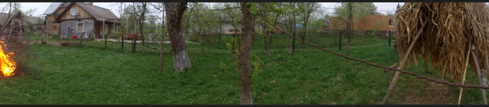 Тільки приїхав із Карпат 5