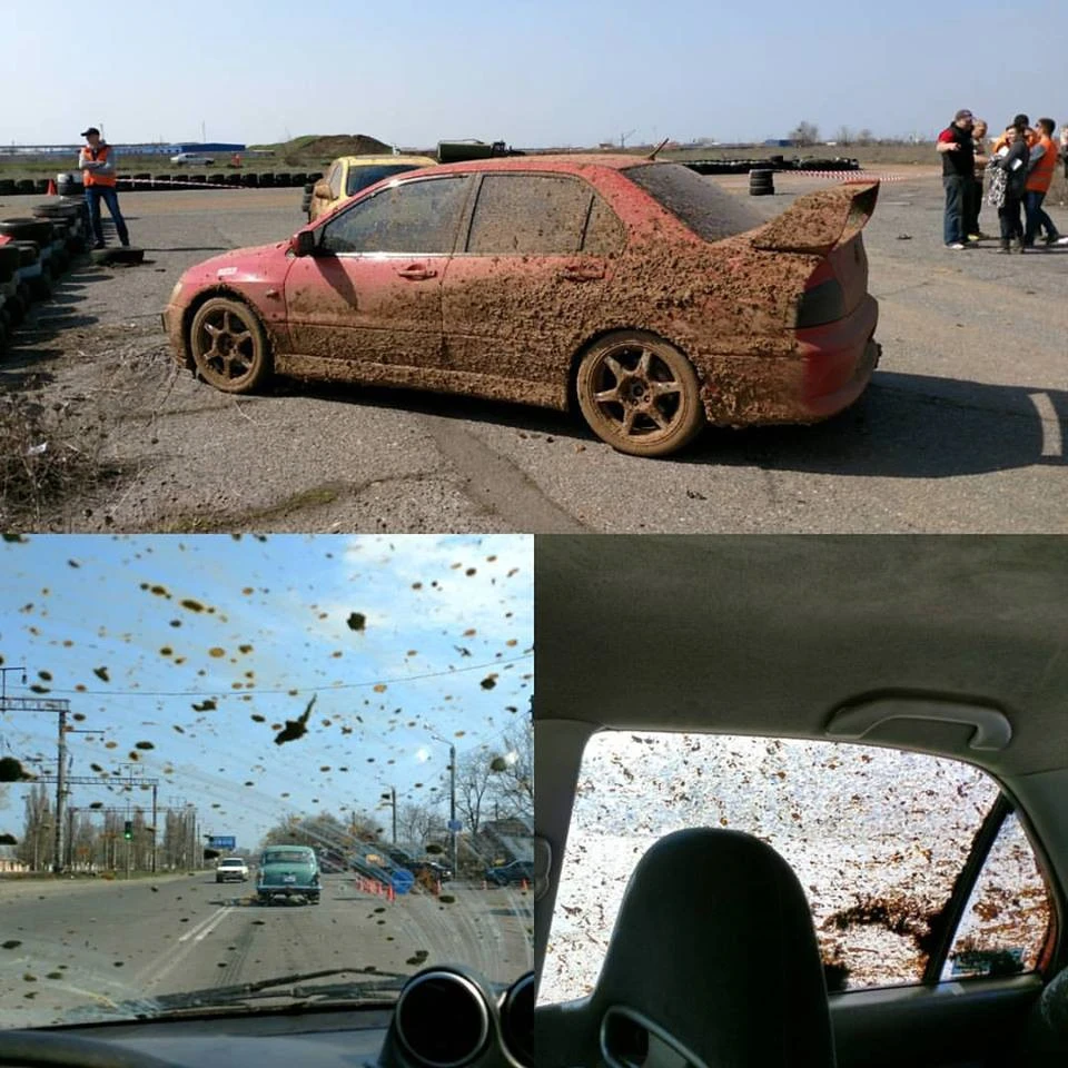Трохи фоток наостанок