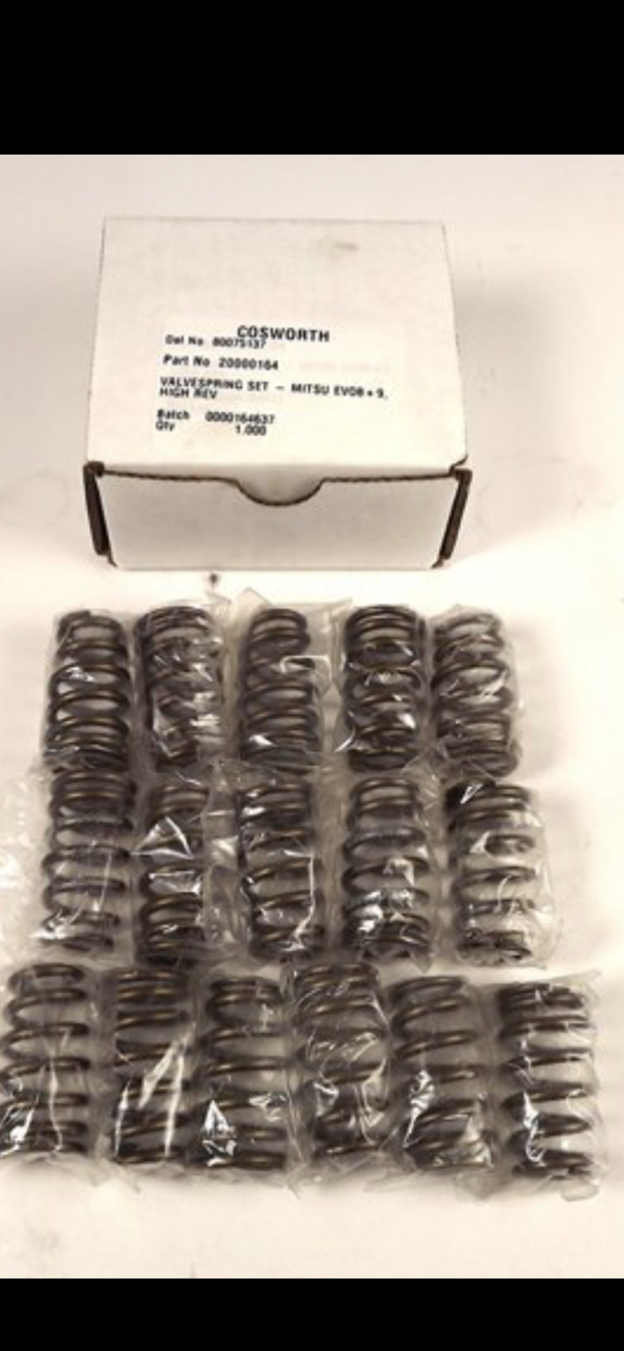 Cosworth valve springs 2