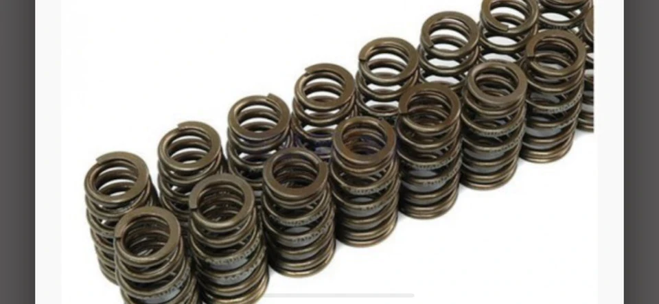 Cosworth valve springs