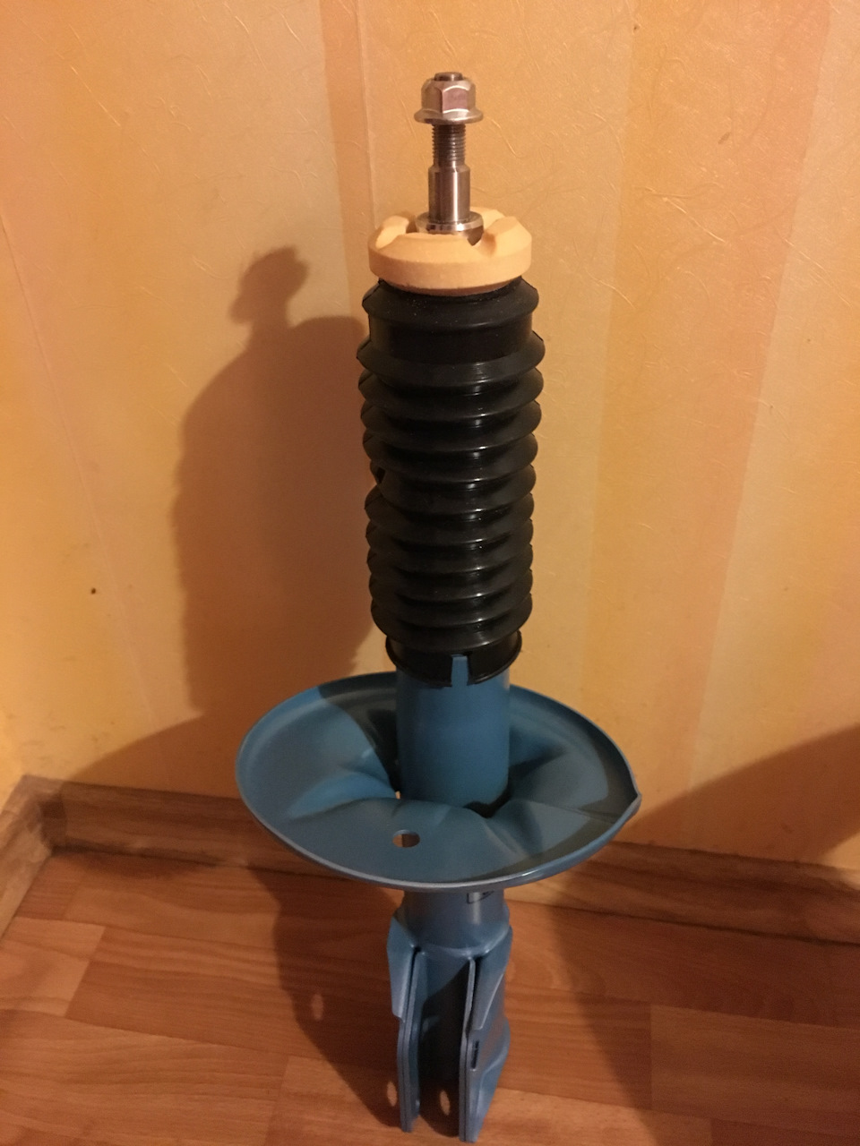 Kayaba New SR Special+ Stock Springs 2