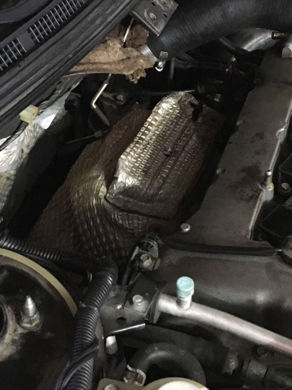 початок зими 4