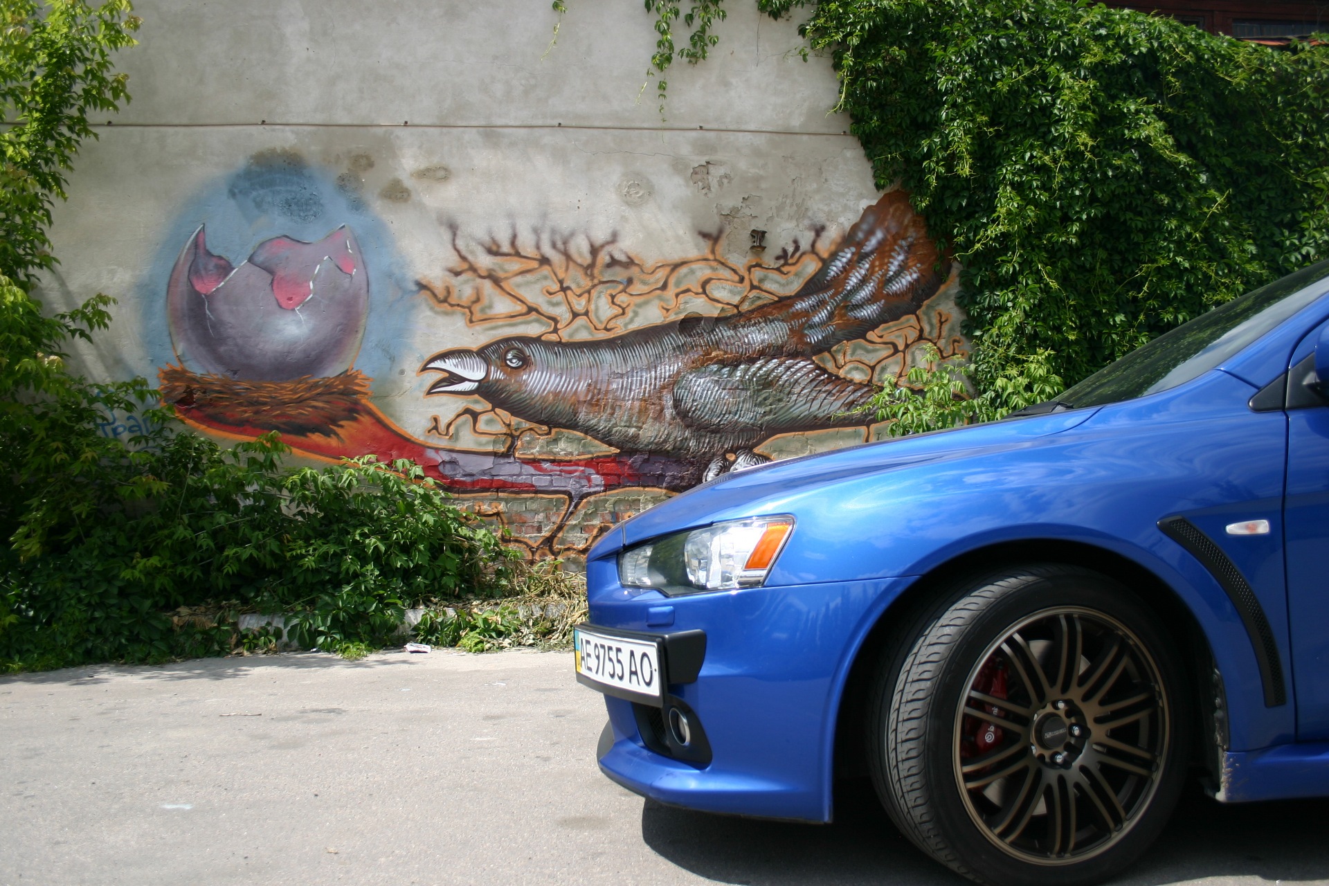 Summer photo's 5