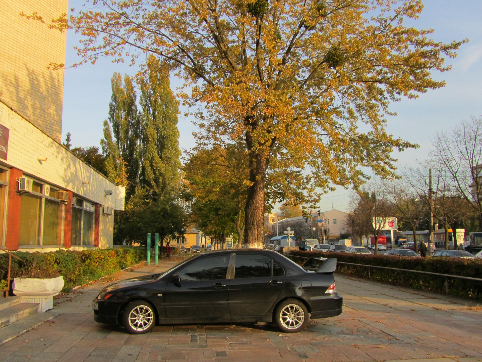 Зима на носі)) 3