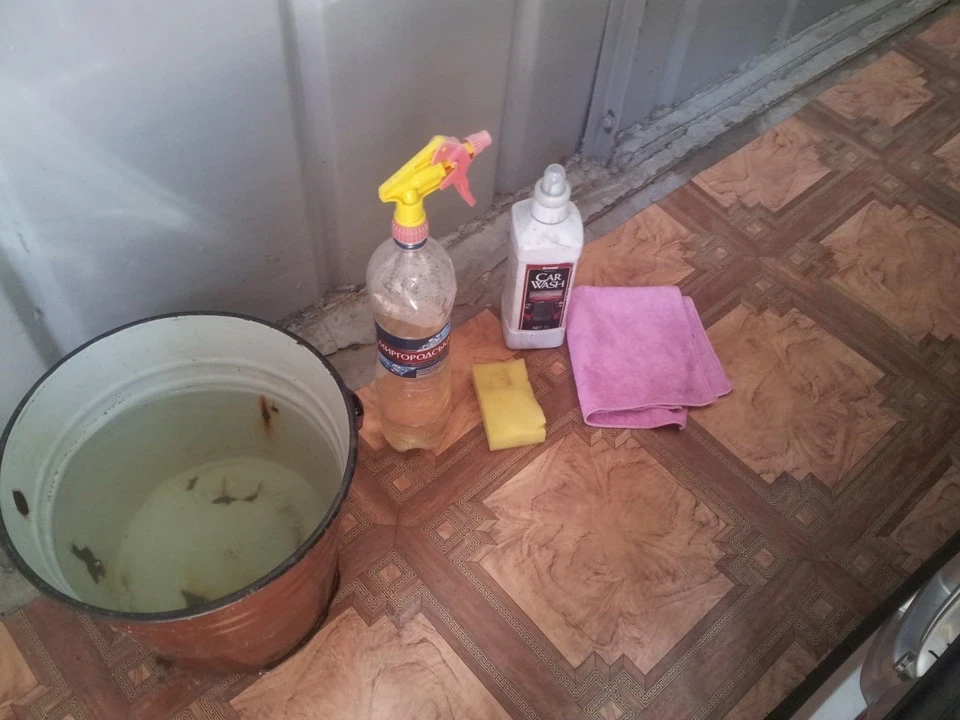 Стеля