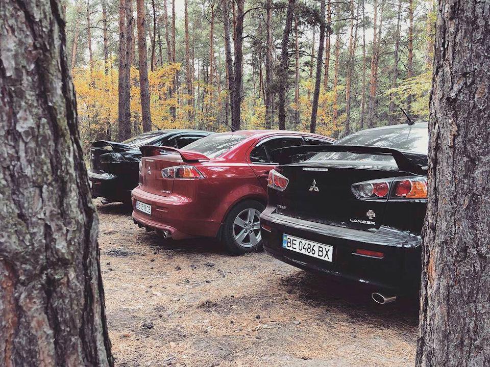 Природка) 5