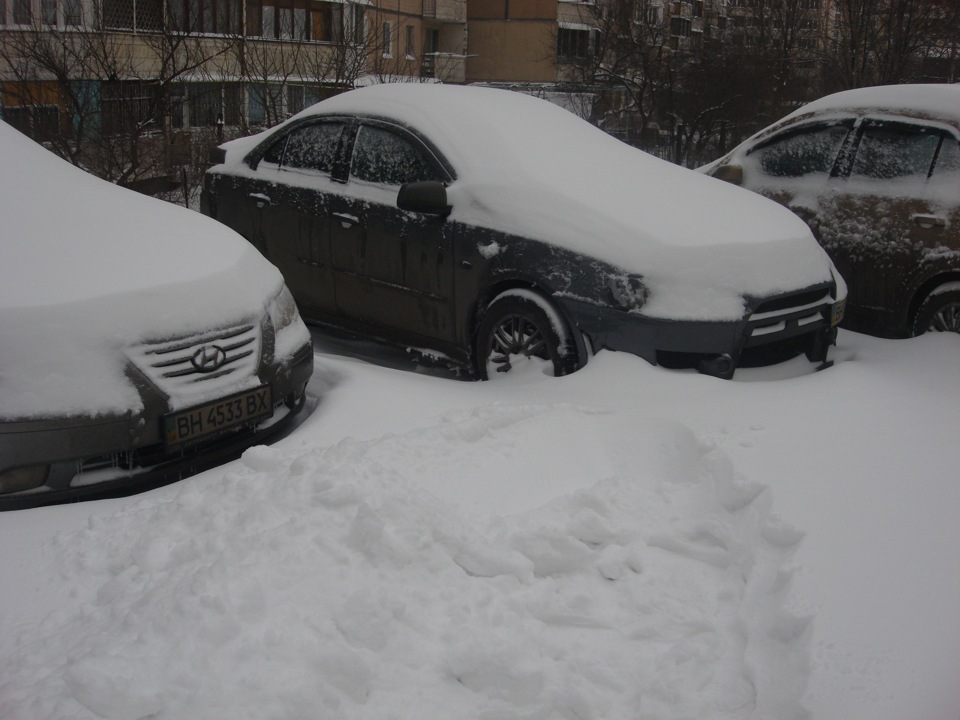 Випало трохи сніжка =) 4