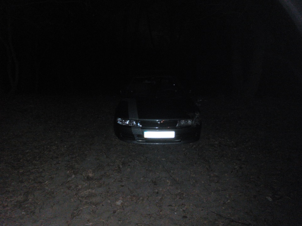 снігу так і немає 3