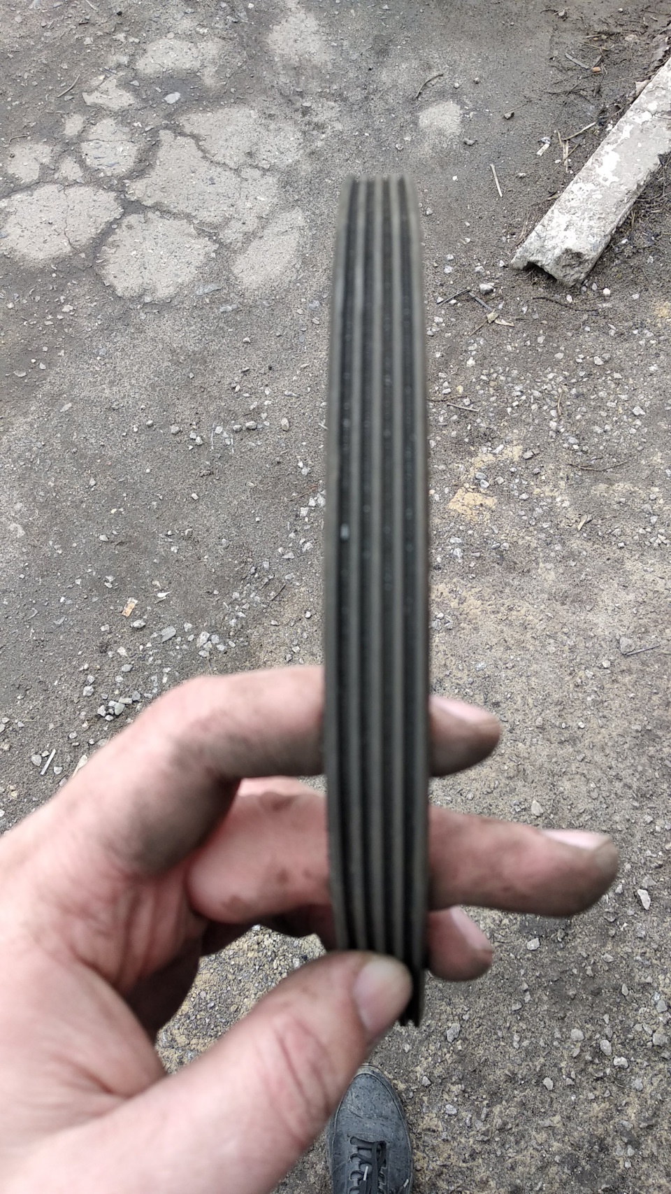 Продовження весняного ТО 4