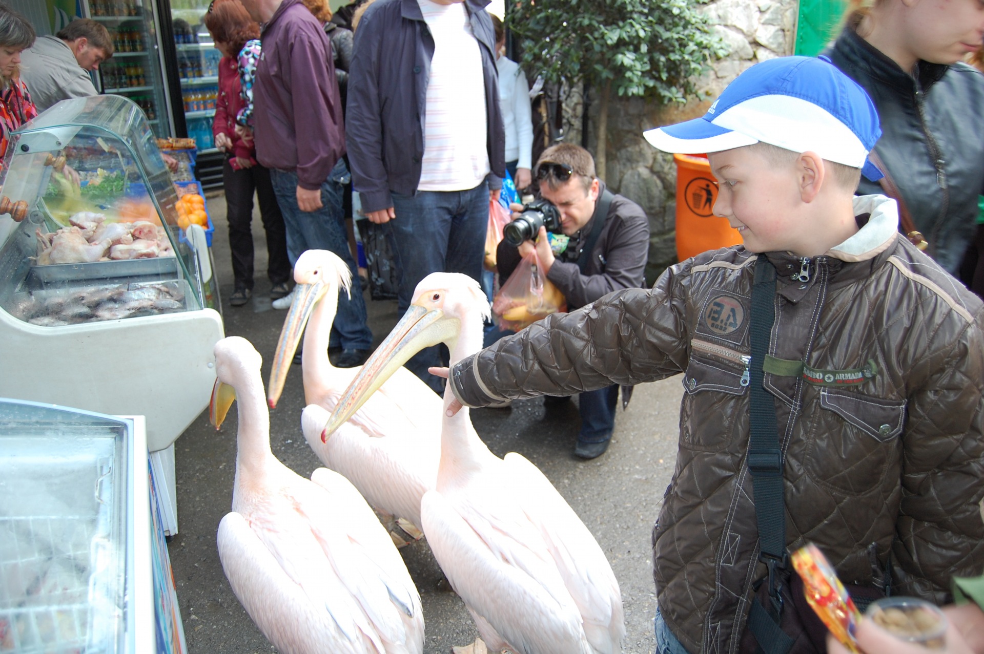 Крим 2011 травень 5
