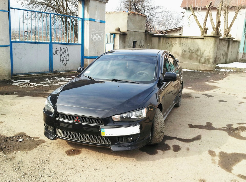 Типу ніздрі 1