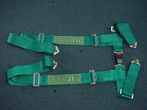 Stage 5 NOW 1