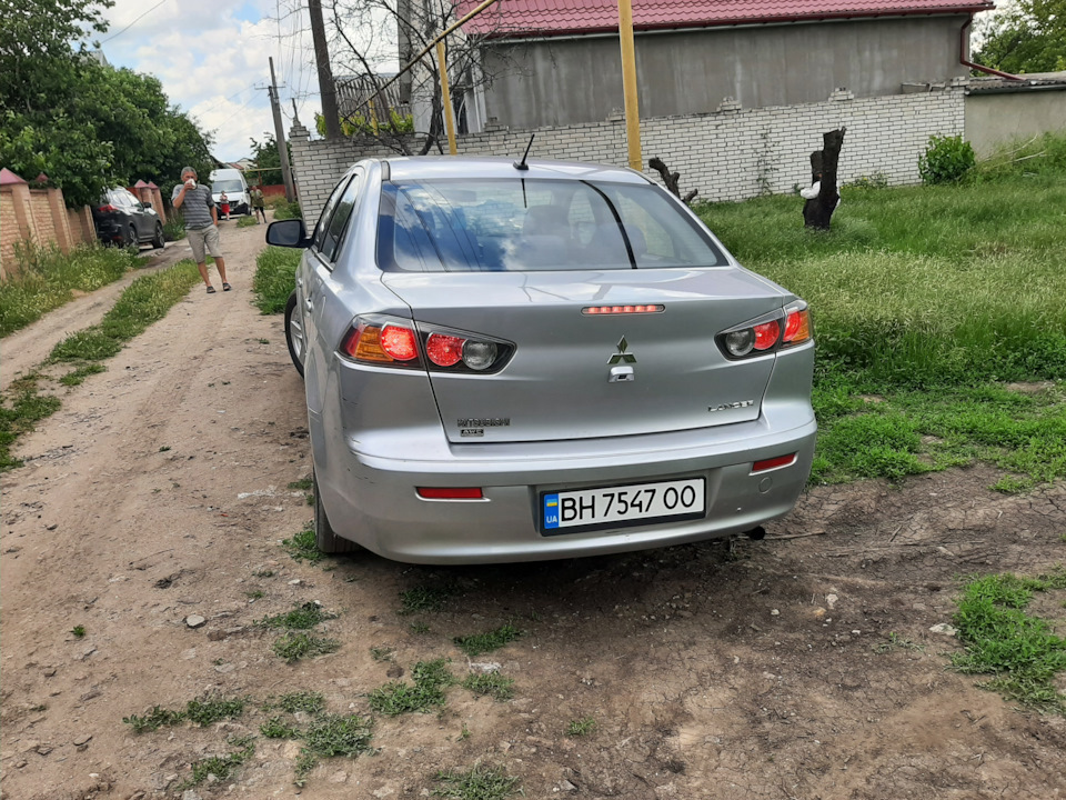 25 Баранів та безкоштовна путівка до Сибіру! Продано! 2