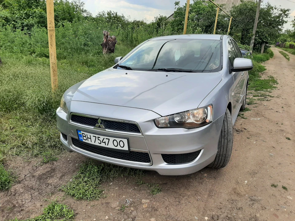 25 Баранів та безкоштовна путівка до Сибіру! Продано!