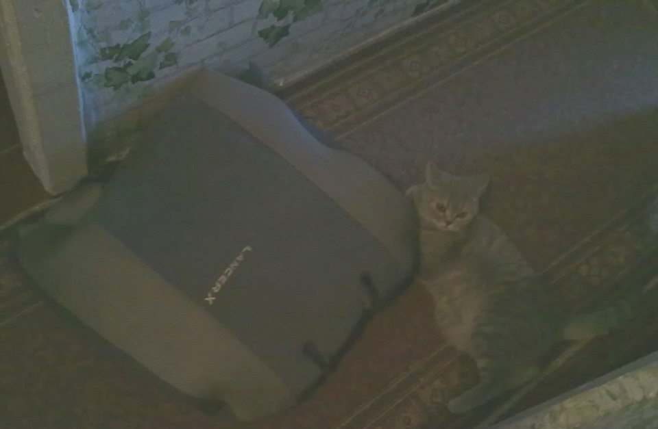 Трішки) ... 2