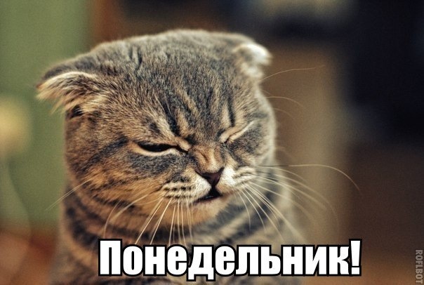 Фара стала почуватися бадьоріше + незамерзайка в бочок омивача 1
