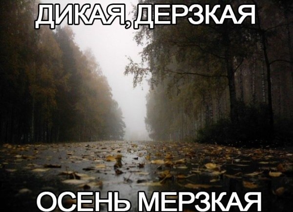 ОуОу Осень по легче! 2