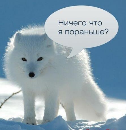 Сдрасте! Не ждали а я пришел! 1