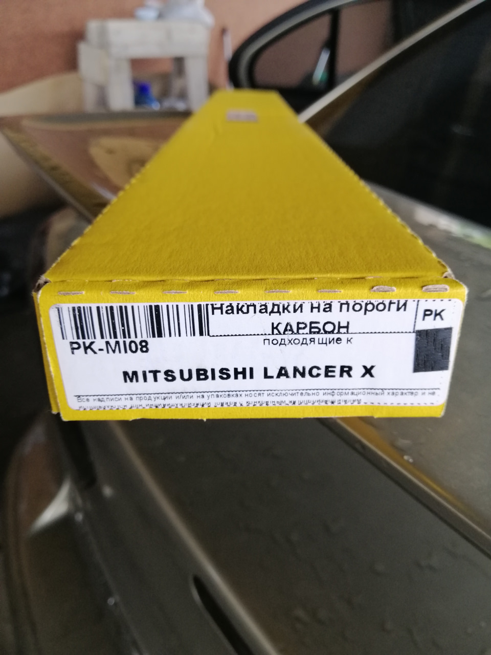 Встановив накладки на пороги 1
