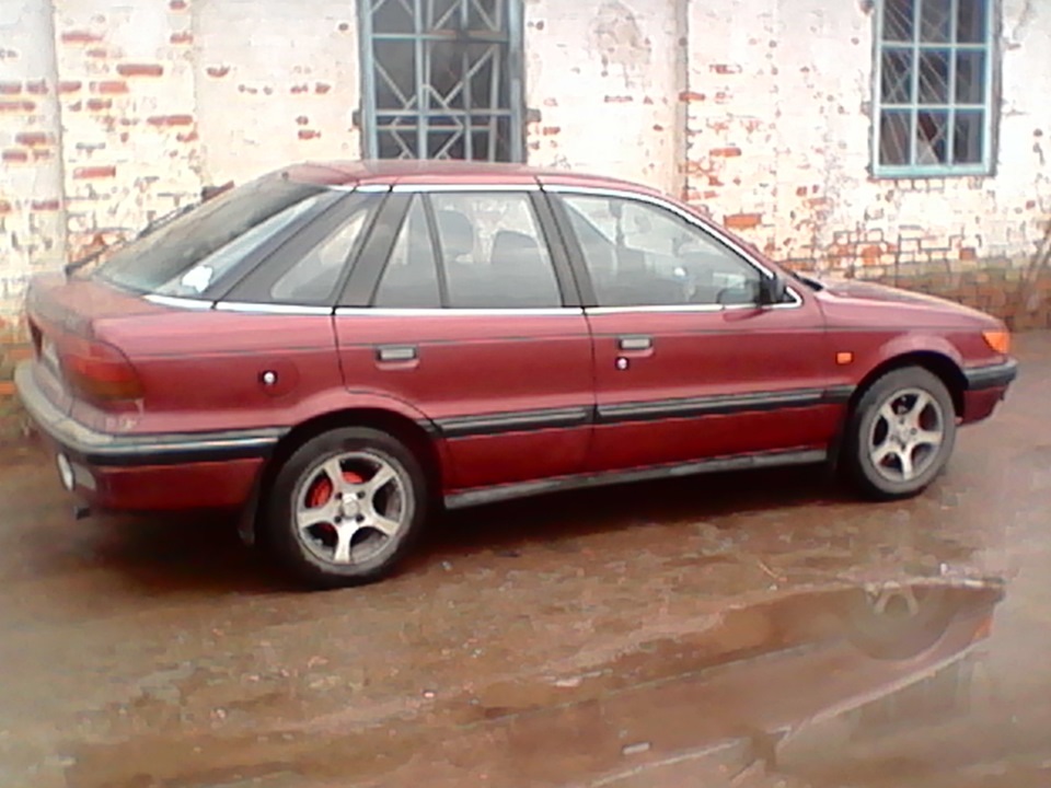 Трохи фото цього року. 1
