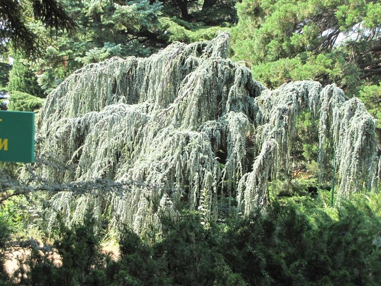 Крим 2010 5