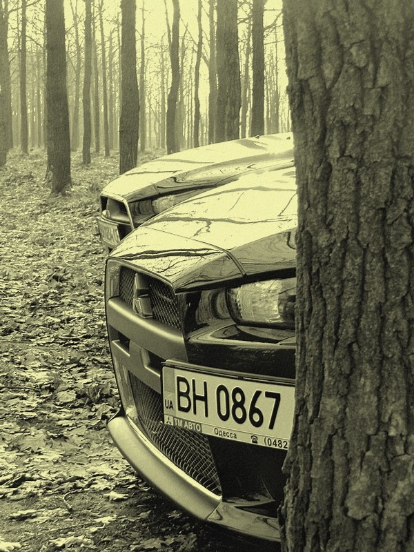 Фотосесія. Lancer X GT, Evo X, Infiniti g35 4