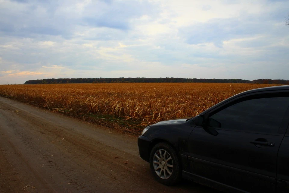 Поїздка до села. Фотозвіт №2.