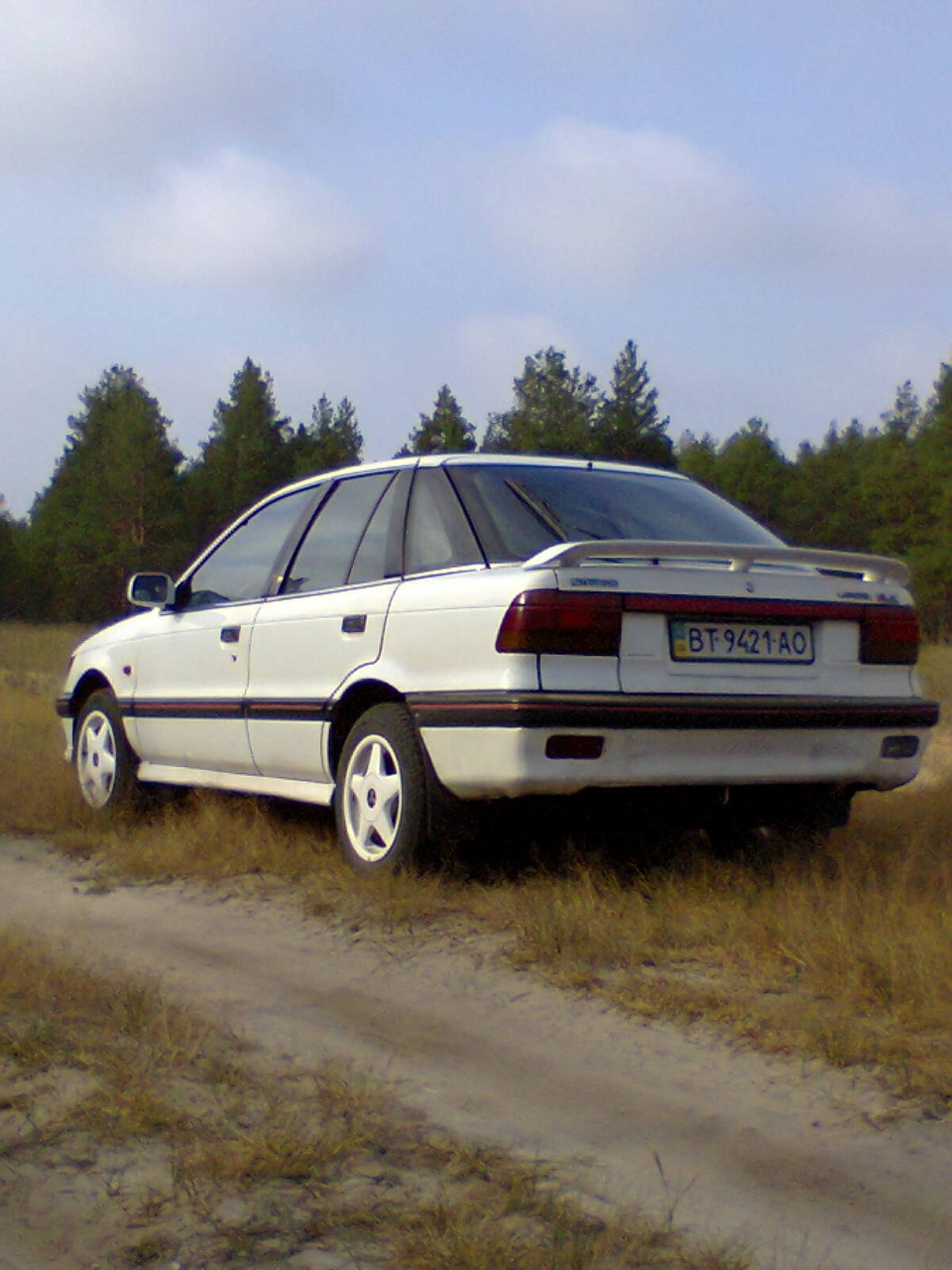 лесной пейзаж 3