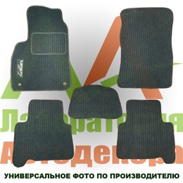 Килимки: літо - ворс, зима - гума 2