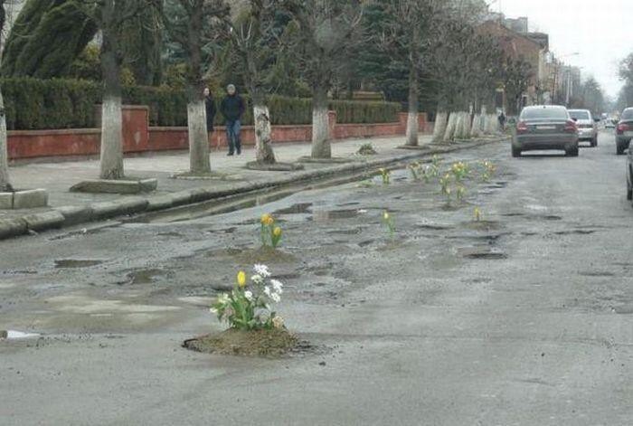 Знову Карпати та кілька фоток на телефон)) 3
