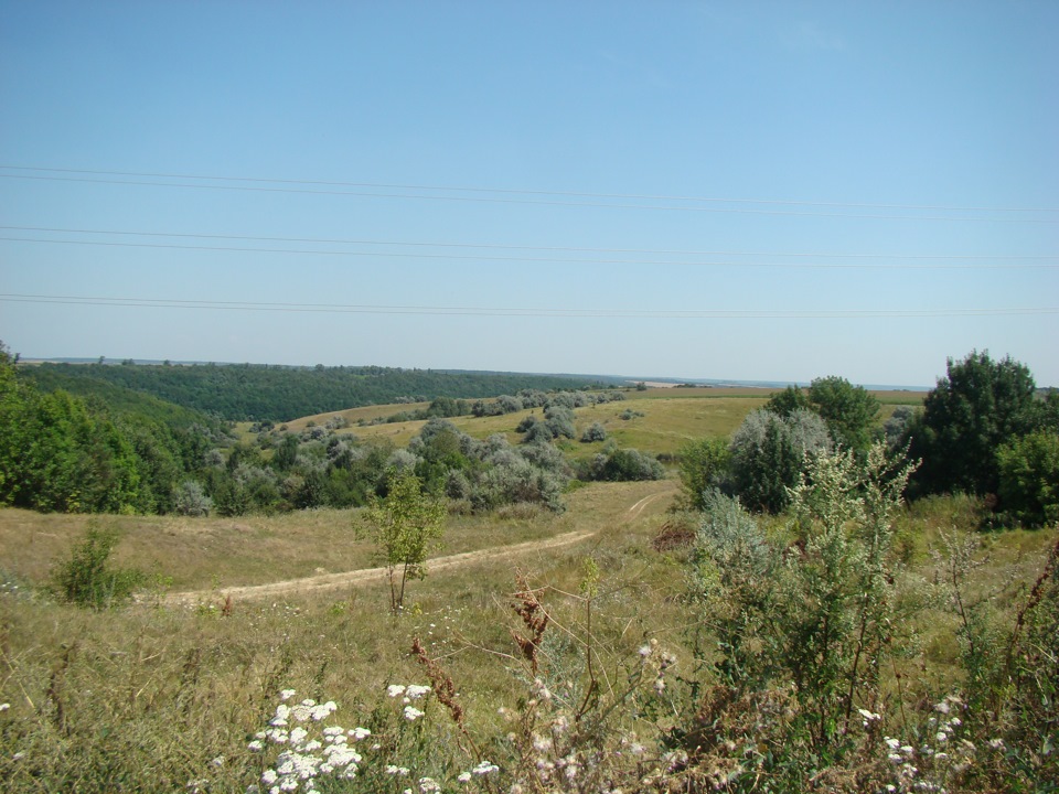 Буки) 1