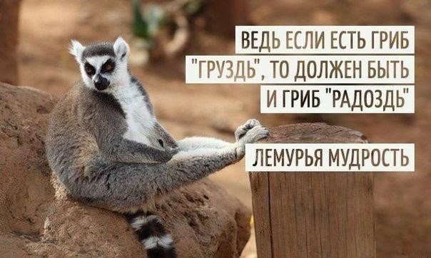 Різдва має розмір 245/40 1