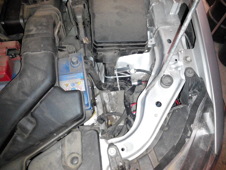 Xenon 5