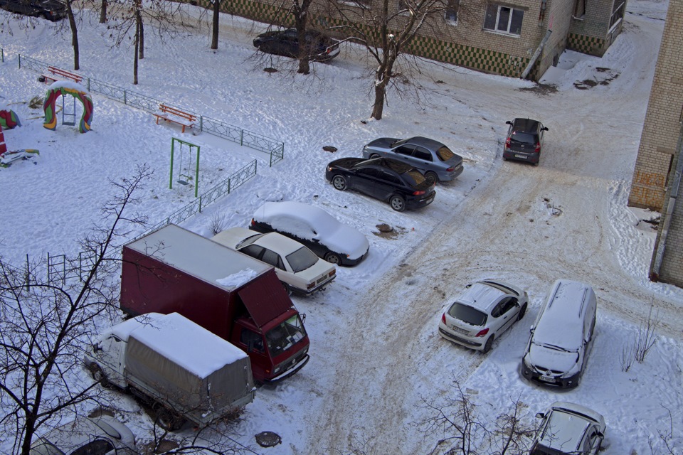 Парочка зимових фото 1