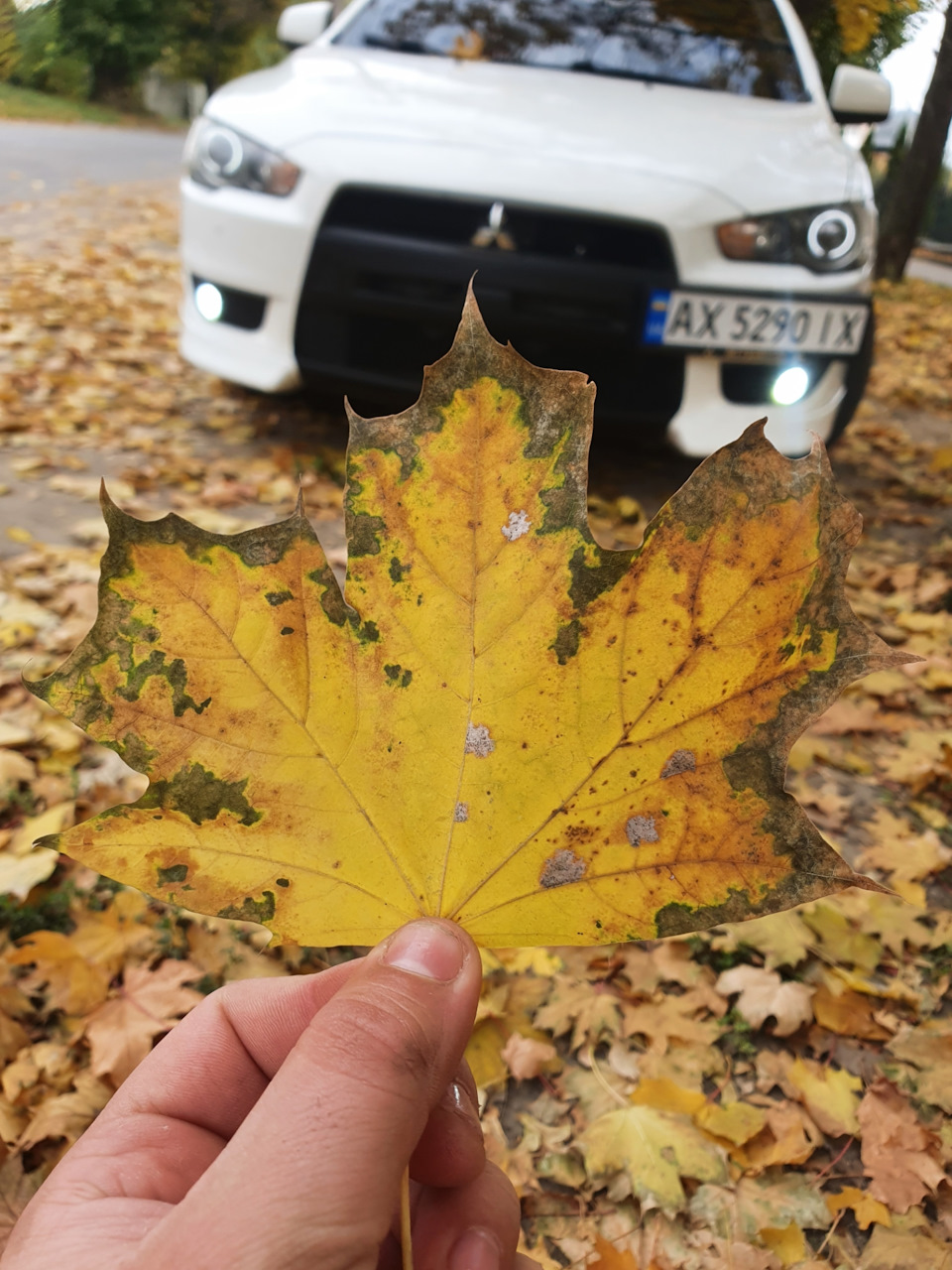 Руль і ручка КПП 1