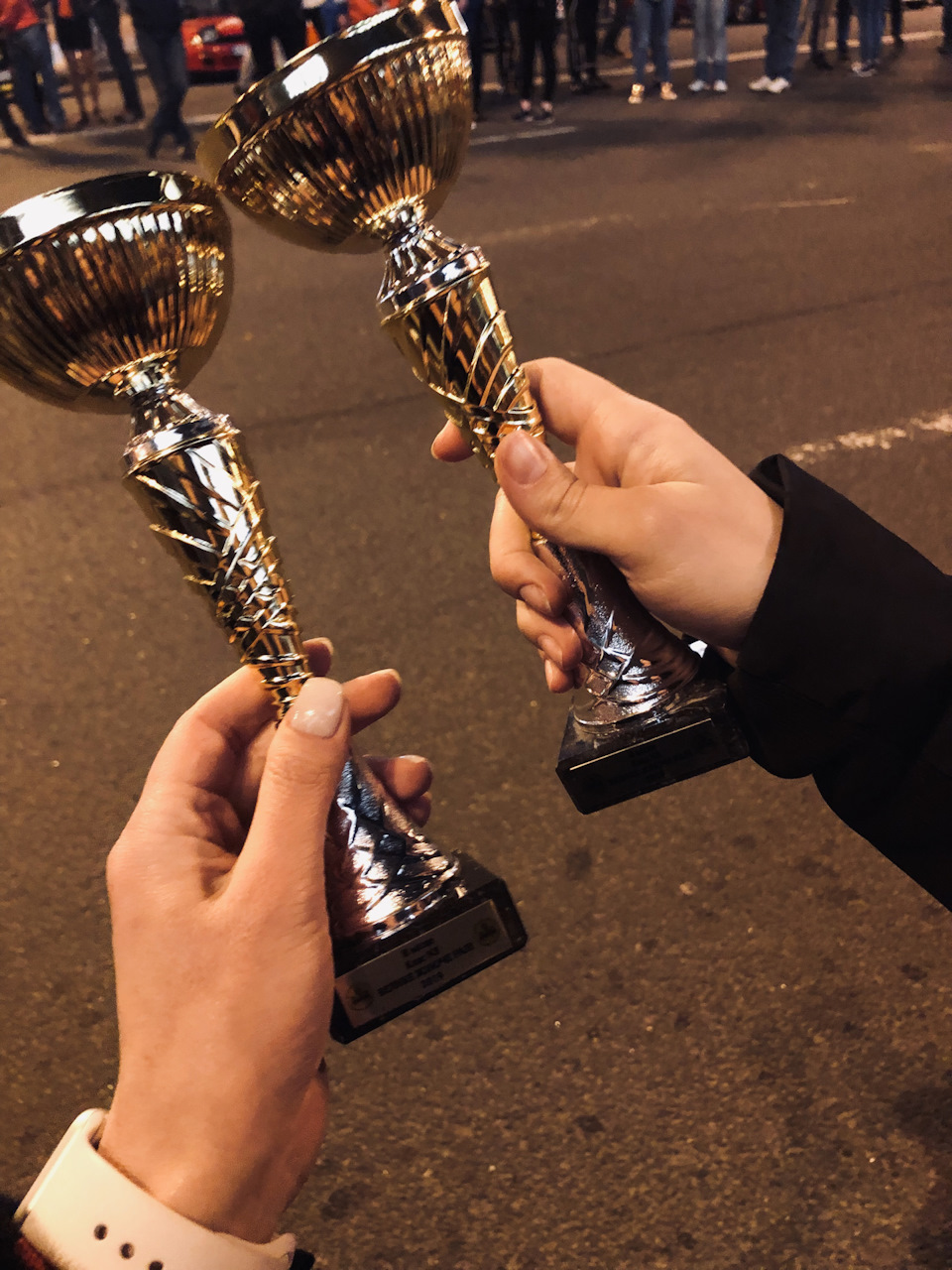 Велике жіноче ралі 2019 5