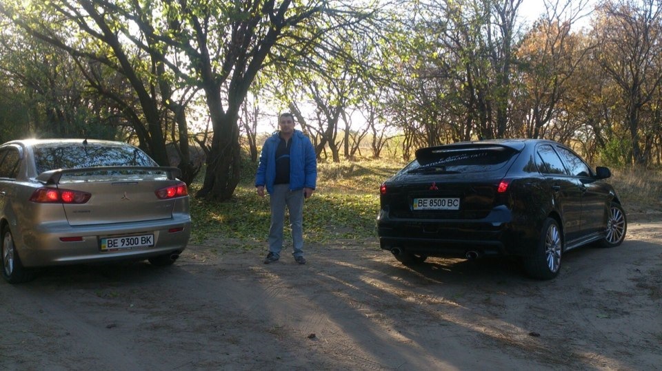 Ліс 2))))) 4