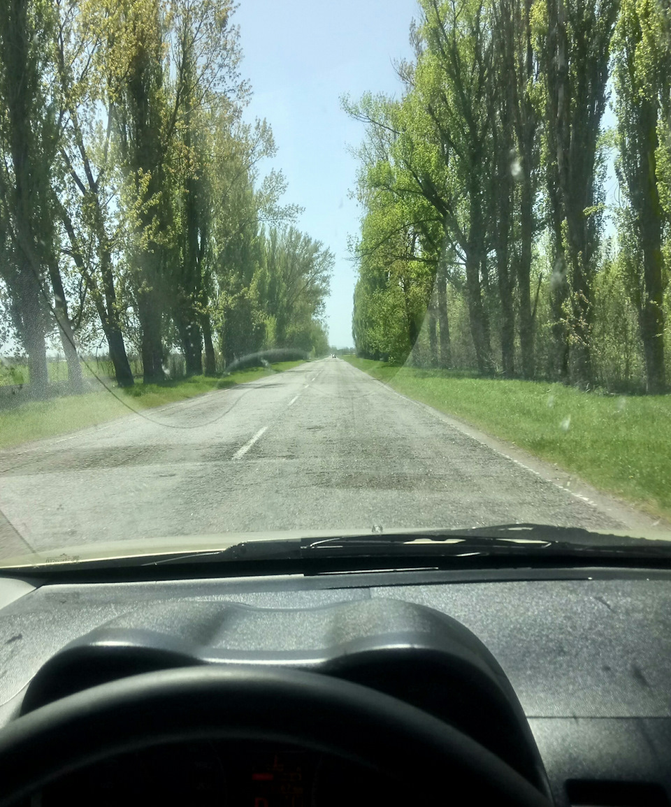 Травневі) 4