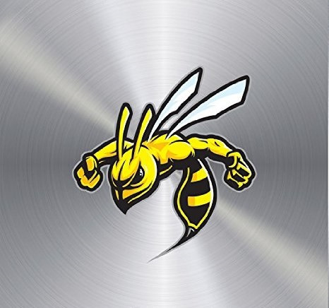 Фінал Ігор у теорію ймовірності або регулювання клапанів! ч.3 Golden Wasp reborn! 1